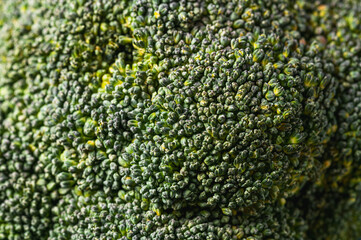 Green surface of broccoli closeup.Natural background. Selective focus.