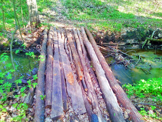An old log bridge without a parapet over a small stream in the woods