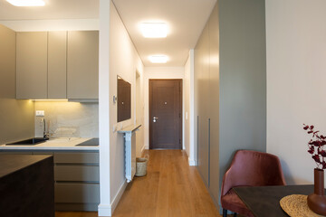 Apartment corridor interior with entrance door