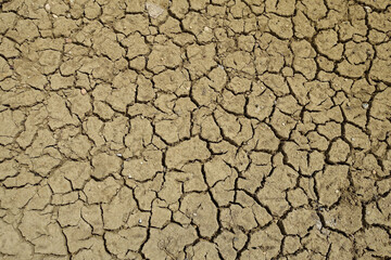 close- up,Cracking and splitting of soils due to thirst-soil erosion and drought,