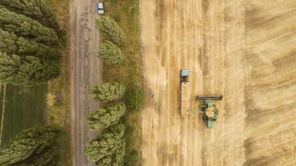Aerial view combine harvester harvesting on the field