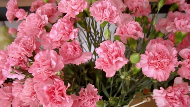 Close-up of a large number of pink carnations in a tin vase with handles on a neutral background. Vertical video. Flowers rotate around their axis on a turntable. The podium of the flower shop.