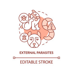 External parasites terracotta concept icon. Disease risk for dogs abstract idea thin line illustration. Tapeworms, mites. Isolated outline drawing. Editable stroke. Arial, Myriad Pro-Bold fonts used