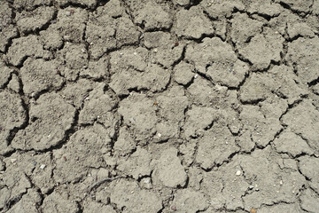 Cracking and splitting of soils due to thirst, drought problem in the world, cracked and split soils,