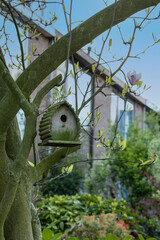 Wooden birdhouse on a tree  on a clear spring day.