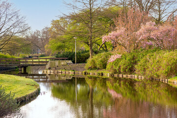 Fototapeta na wymiar Beautiful spring landscape. Canal with a bridge and blossoming trees along the shore.