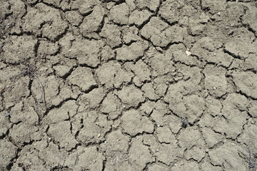 Cracking and splitting of soils due to thirst, drought problem in the world, cracked and split soils,