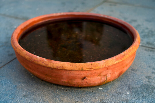 A close up shot of a wide mouth red mud pot holding water.