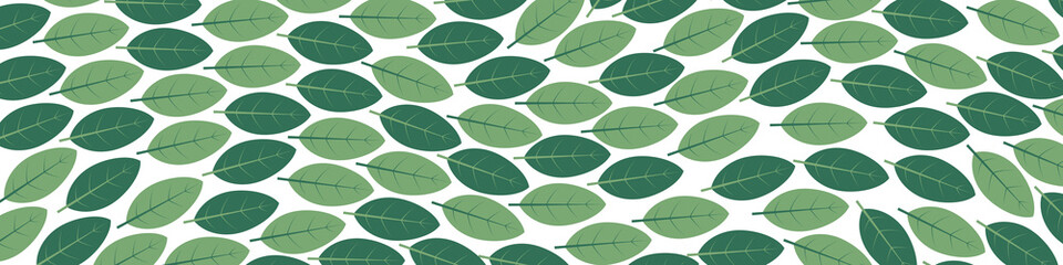 green leaves banner- vector illustration
