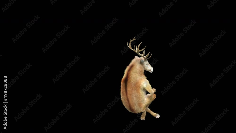 Fototapete deer dancing cg fur 3d rendering animal realistic cgi vfx animation loop composition 3d mapping cart
