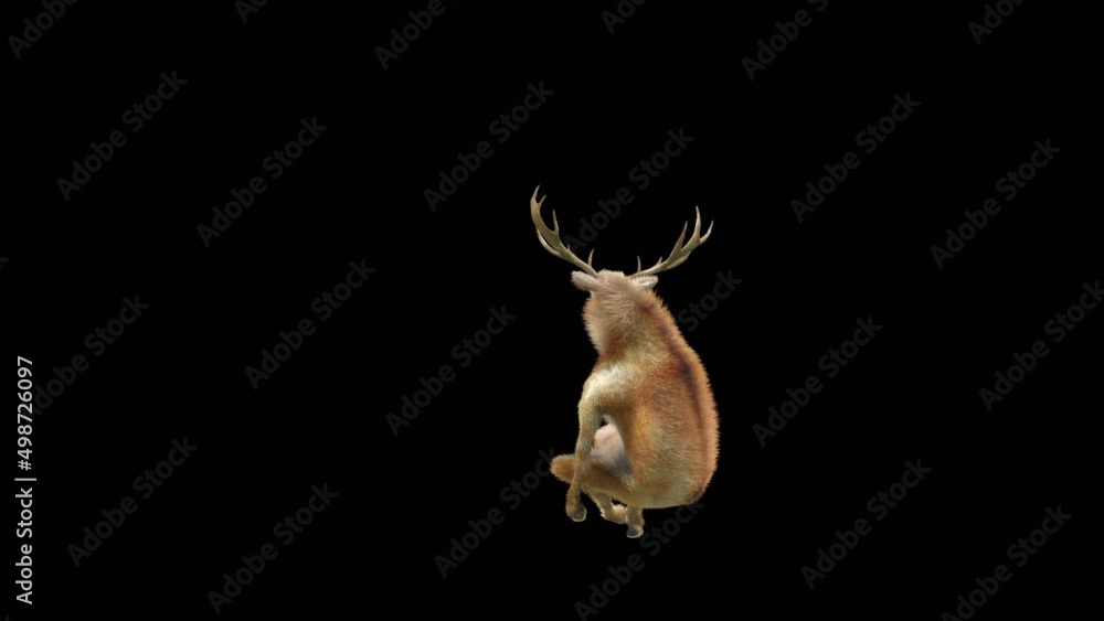 Fototapete deer dancing cg fur 3d rendering animal realistic cgi vfx animation loop composition 3d mapping cart