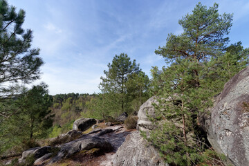 Belvederes path in Fontainebleau forest. Denecourt hiking path 16