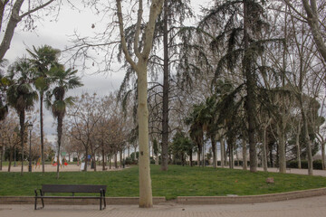 bench in the park