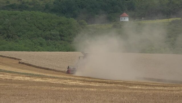 Harvest of wheat, Combine harvester harvest ripe wheat