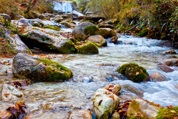 Fototapeta na wymiar Mountain stream in old forest.