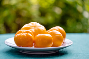 fresh yellow tomatoes on a plate on the table against the background of a cluttered garden, close-up