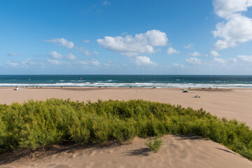 Panoramic view of the beach with selective focus on the dune bushes.