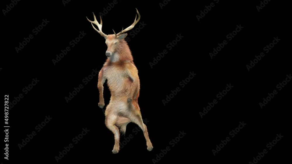 Fototapete deer dancing cg fur 3d rendering animal realistic cgi vfx animation loop composition 3d mapping cart