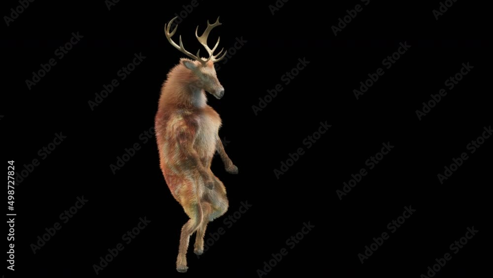 Fototapete deer dancing cg fur 3d rendering animal realistic cgi vfx animation loop composition 3d mapping cart