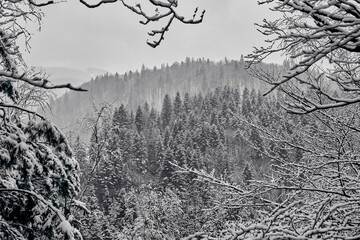 Winter landscape in Ukraine. Carpathians.