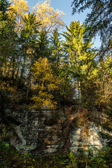 Beautiful forest and cliffs by the Amata river during sunny autumn day in Cecili nature trail near Ieriki, Latvia