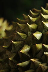 Closeup view of ripe durian on blurred background