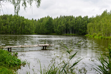 Summer landscape on the lake in the forest, natural background