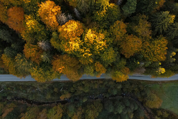 Aerial view of road going through beautiful autumn forest