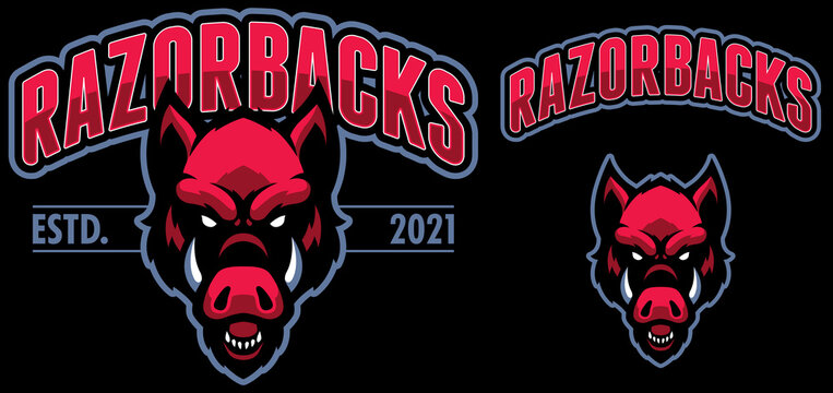 Razorbacks Sports mascot