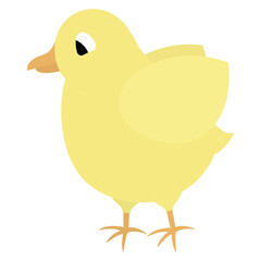 Chick. Color vector illustration. The yellow bird flaps its wings. Baby chicken. Cute chick. Isolated background. Flatstyle. Festive print. Idea for web design, invitations, postcards. Bright Easter.