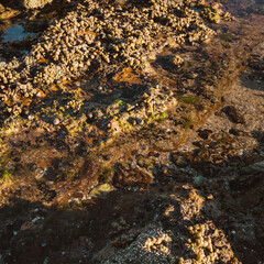 Rocks on the beach