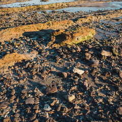 rocks on the beach