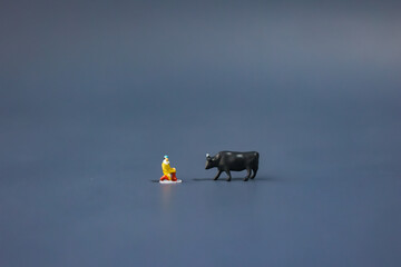  Animal welfare and farming of cattle.