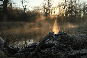 Fototapeta woda, zachód słońca, drzewo, mgła, wiosna obraz