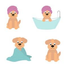 set of cute brown dogs