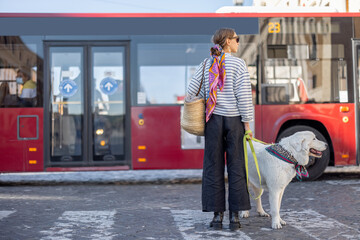 Woman stands with a dog on a bus station. Concept of travel on public transport with pets. Italian...