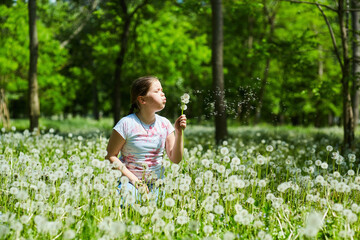 Naklejka na ściany i meble A school-age girl in a meadow with dandelions. Recreation in the park.