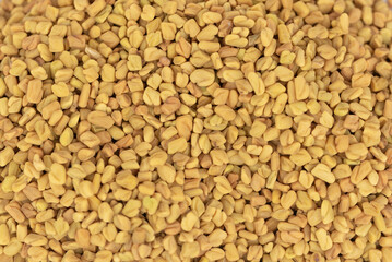 natural fenugreek seeds (Trigonella foenum-graecum)
