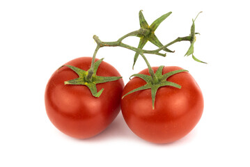 The Fresh Red Juicy Tomatos
