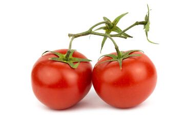 The Fresh Red Juicy Tomatos