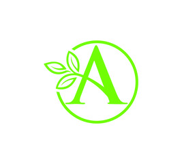 Letter A with leaf vector icon	