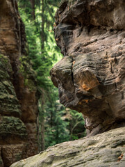 Bielatal in der S&auml;chsischen Schweiz - Fels am Sachsenstein