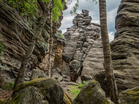 Bielatal, Ottom&uuml;hle in der S&auml;chsischen Schweiz &ndash; Birken und Felsblock