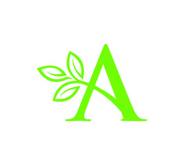 Letter A with leaf vector icon	