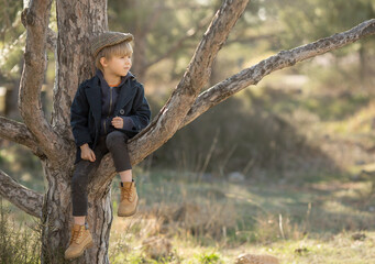 a little boy in vintage clothes is sitting on a tree