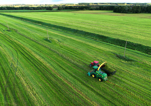 Cutting grass silage at field. Forage harvester John Deere on grass cutting for silage in agricultural field. Self-propelled Harvester on Hay making for cattle at Farm. Russia, Smolensk, Aug 23, 2021.