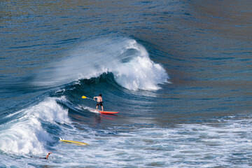 Grumari, Rio de Janeiro, Brasil: surfista da modalidade SUP Surf no Mar do Rio de Janeiro