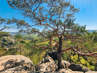 dovbush rocks Ukraine hiking landmark