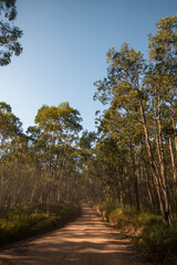 Campinas, São Paulo, Brasil, estrada no alto do Pico das Cabras no Distrito de Joaquim Egídio