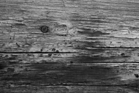 evocative black and white image of an old wooden plank with rusty nails 
